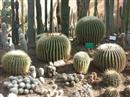 Tropical Parc