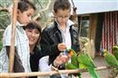 Tropical Parc
