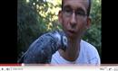 Tropical Parc