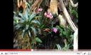 Tropical Parc