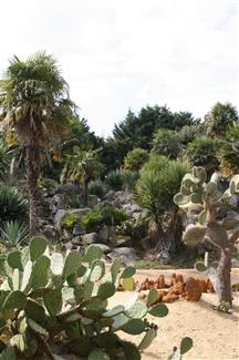 jardin cactus Bretagne 