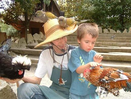 Le spectacles des oiseaux
