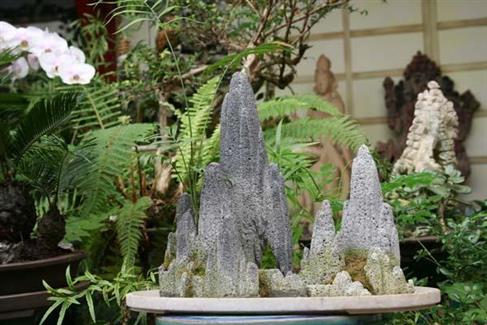 Végétaux d'asie et jardin japonais - Parc floral en Bretagne TROPICAL PARC