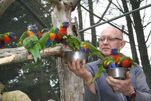 Volière Australie - Tropical Parc morbihan 