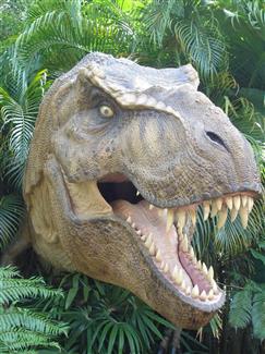 Dinosaure - Parc Bretagne