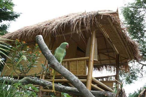 Le jardin indonésien et ses constructions en bambou