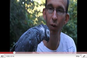 Vidéo Perroquet savant - zoo morbihan 
