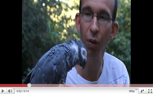 Vidéo Perroquet savant - zoo morbihan 