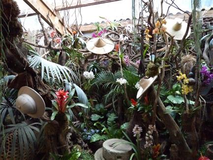 Serre aux orchidées - Parc floral Bretagne