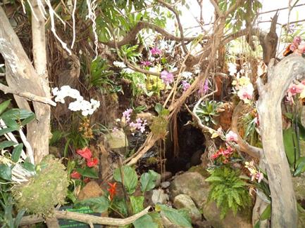 Serre aux orchidées - Parc floral Bretagne