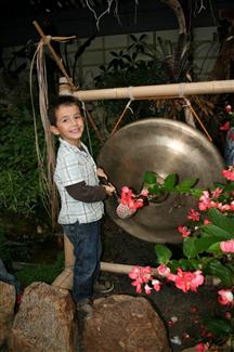Le gong ! Parc floral en Bretagne TROPICAL PARC