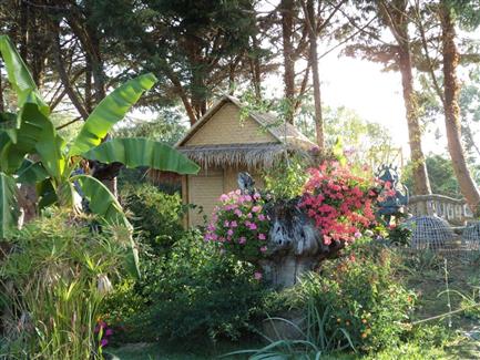 Le jardin indonésien de Tropical Parc parc morbihan 