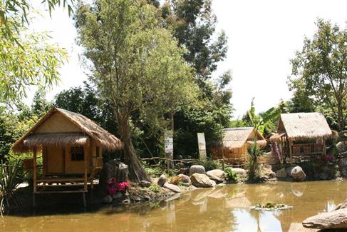 Jardin indonésien - Tropical Parc Bretagne 