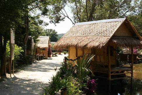 Jardin indonésien - Tropical Parc, parc animalier 56