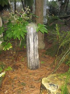 Tropical Parc dans le Morbihan