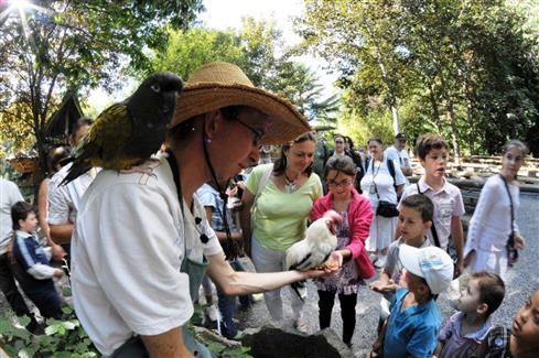 Le spectacles des oiseaux