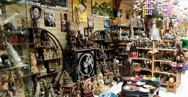 Boutique Tropical Parc - Parc animalier 56