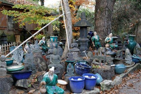 Boutique Tropical Parc - pots de fleurs 