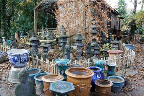Boutique Tropical Parc jardin 56