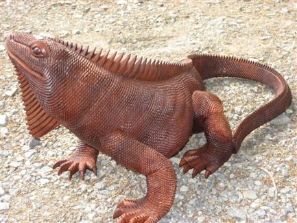 Boutique Tropical Parc iguane 