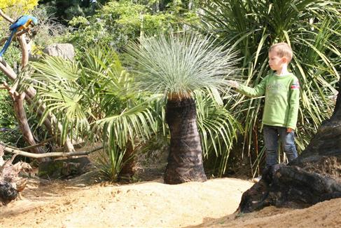 Pass annuel - Tropical Parc 56