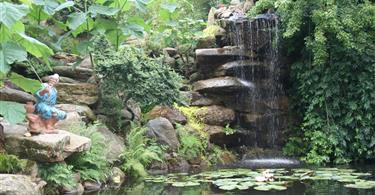 Un abonnement à l'année - Zoo Bretagne