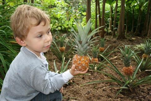 Parc Tropical - Tropical Parc 56
