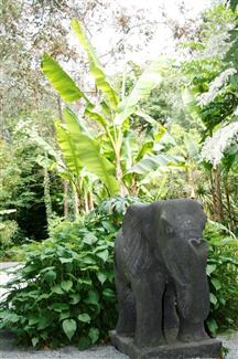Tropical Parc dans le Morbihan