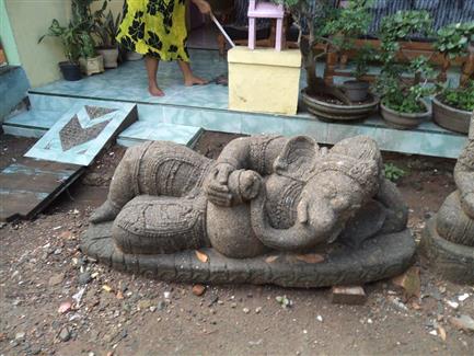 Tropical Parc dans le Morbihan