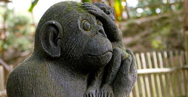 Tropical Parc - Zoo parc Morbihan