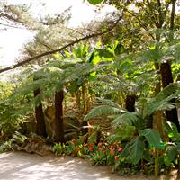 Tropical Parc dans le Morbihan