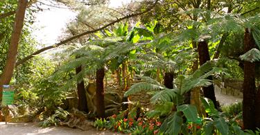 Tropical Parc dans le Morbihan