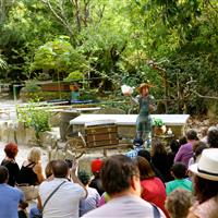Tropical Parc dans le Morbihan
