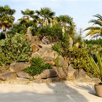 Tropical Parc dans le Morbihan