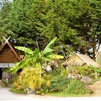 Tropical Parc dans le Morbihan