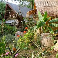 Tropical Parc dans le Morbihan