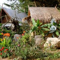 Tropical Parc dans le Morbihan