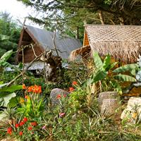 Tropical Parc dans le Morbihan