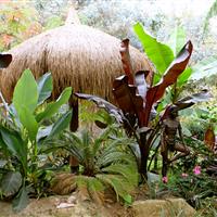 Tropical Parc dans le Morbihan