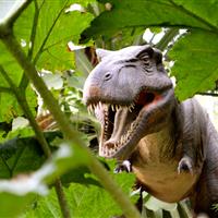 Tropical Parc dans le Morbihan