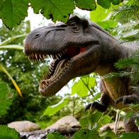 Tropical Parc dans le Morbihan