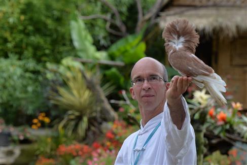 Les Spectacles - Tropical Parc - Parc animalier Morbihan 56