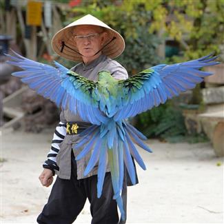 Les Spectacles Parc animalier Bretagne 56