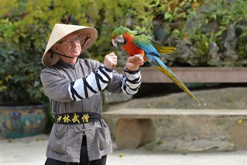 Les Spectacles Parc animalier Bretagne sud 