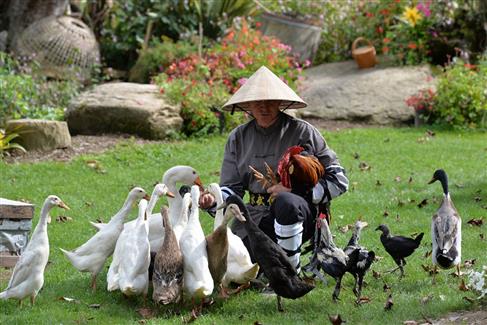 Les Spectacles de Tropical Parc - Parc animalier Bretagne sud 