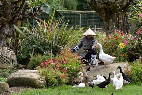 Les Spectacles de Tropical Parc - zoo parc Morbihan 
