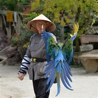 Les Spectacles de Tropical Parc - parc 