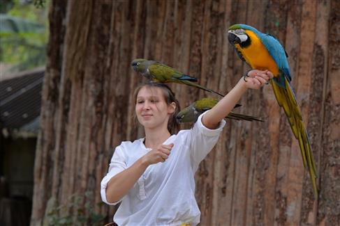 Les Spectacles de Tropical Parc - parc morbihan 