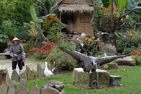 Les Spectacles de Tropical Parc - parc bretagne sud 