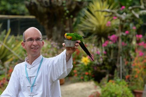 Les Spectacles - Tropical Parc